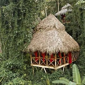 Station touristique Dominican Tree House Village